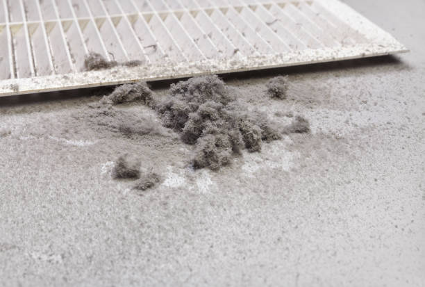 Best HVAC Duct Inspection Services  in Hayden, AL